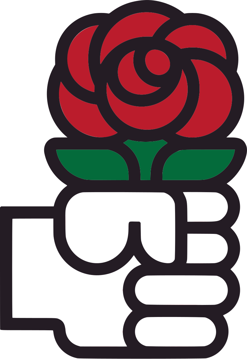 The Vicissitudes of Democratic Socialism