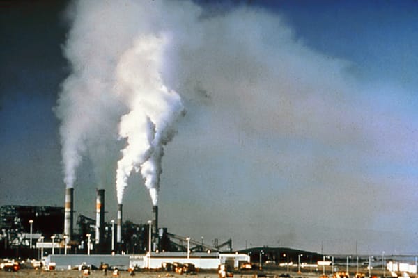 Green Confusion: The Metaphysical and Political Failures of Ecology