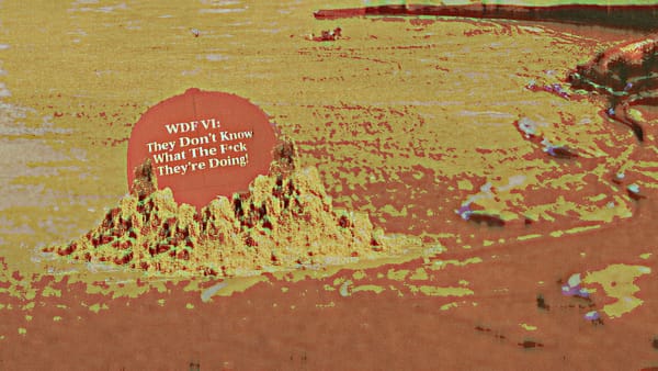 They Don't Know What the *%&$ They're Doing (WD6)